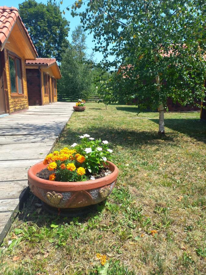 Вилно Селище Мировец Maluk Izvor  Exterior photo